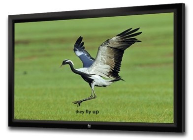 Проекционный экран SeeMax Highland frame MW 305x229 (4:3)