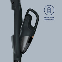 Пылесос Electrolux Well Q6 WQ61-42GG