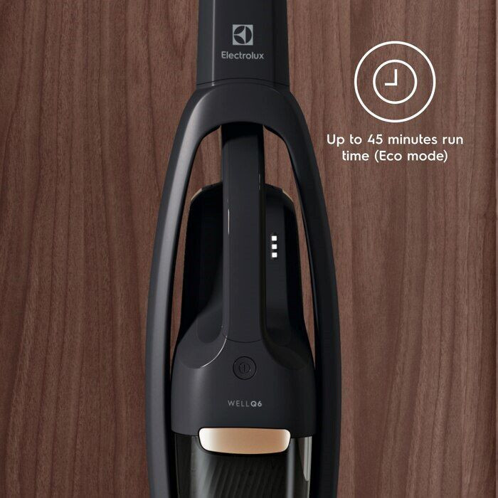 Пылесос Electrolux Well Q6 WQ61-42GG