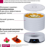 Сушилка для овощей и фруктов Мастерица EFD-5002