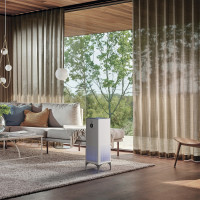 Очиститель воздуха Electrolux EAP-2075D Yin&amp;Yang