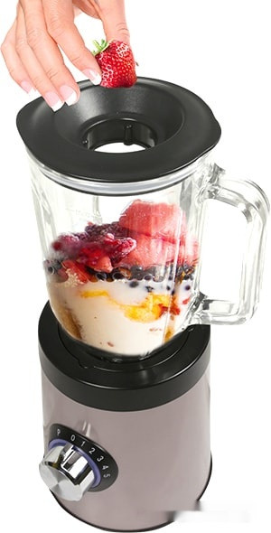 Блендер Zigmund & Shtain BS-441 D