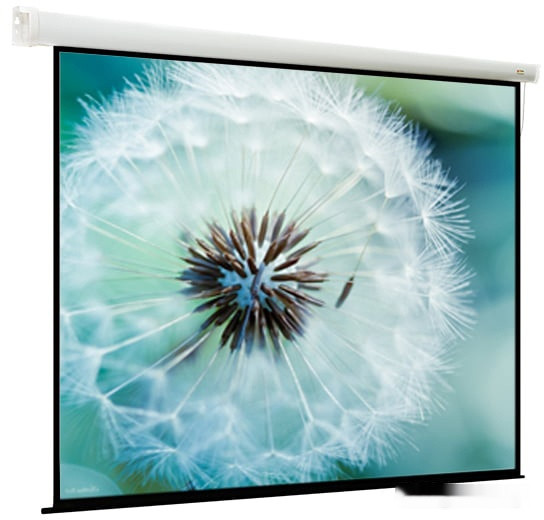 Проекционный экран Viewscreen Breston 220х163 EBR-16909