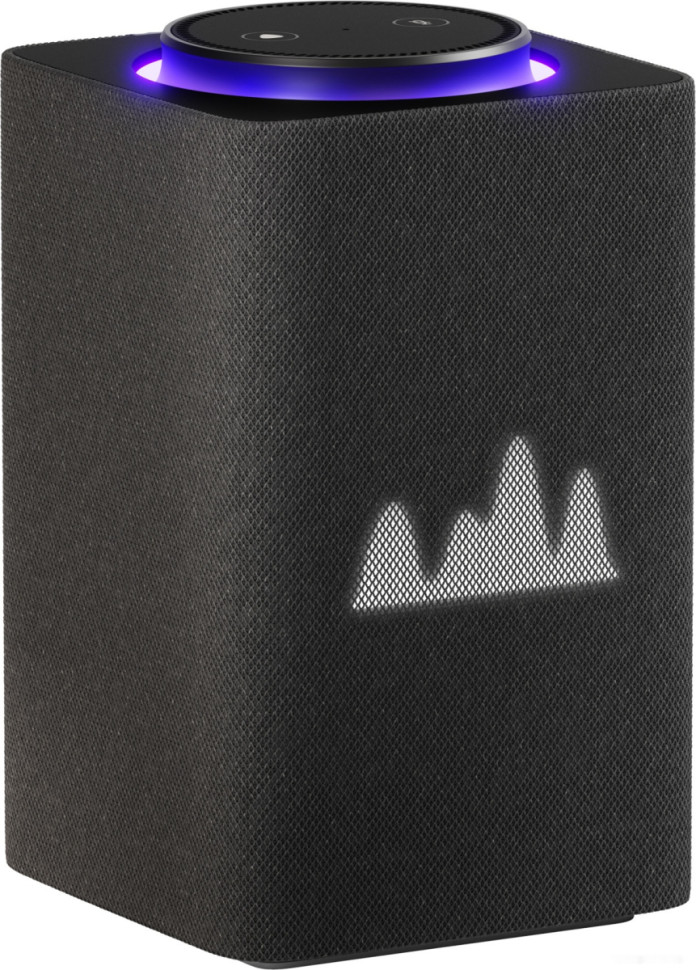 Умная колонка Яндекс Станция Макс (с хабом умного дома Zigbee, графит)