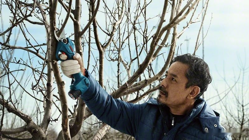 Секатор Bosch Pro Pruner Professional 06019K1021 (с 2-мя АКБ)