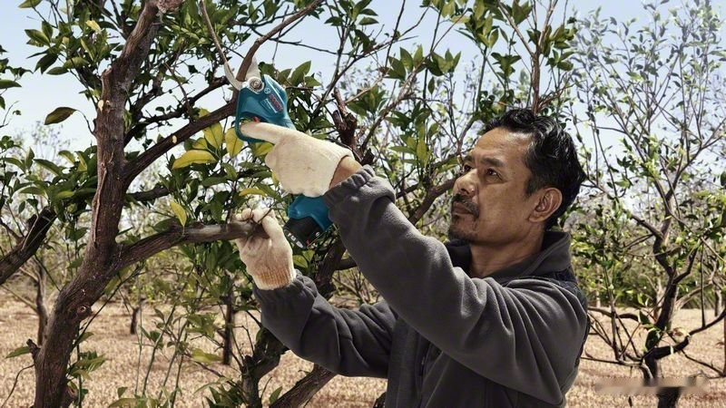 Секатор Bosch Pro Pruner Professional 06019K1021 (с 2-мя АКБ)