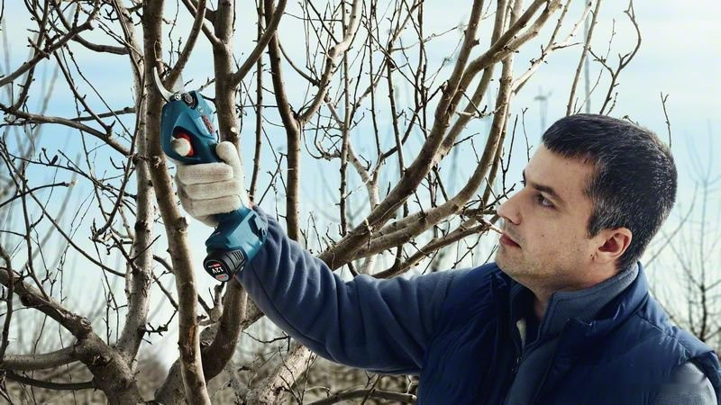Секатор Bosch Pro Pruner Professional 06019K1021 (с 2-мя АКБ)