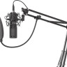 Микрофон Genesis Radium 400