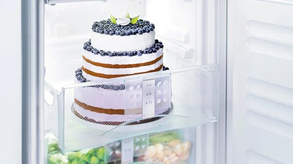 Холодильник Liebherr CTe 2931