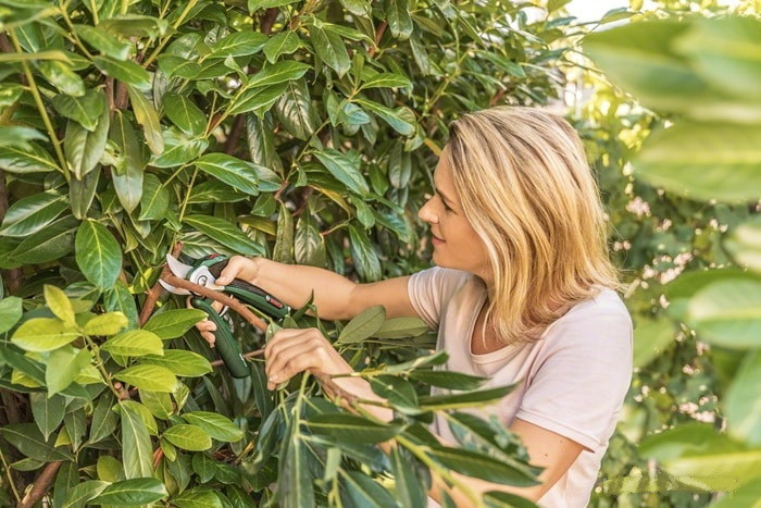 Секатор Bosch EasyPrune