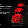 Телевизор Skyworth 75X66H