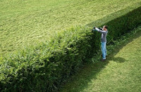 Аккумуляторный кусторез Bosch AHS 55-20 Li