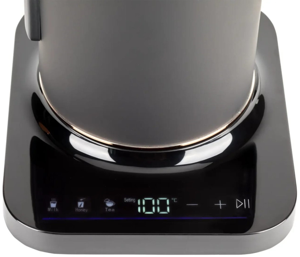 Электрический чайник Evolution KP22151L Thermocontrol