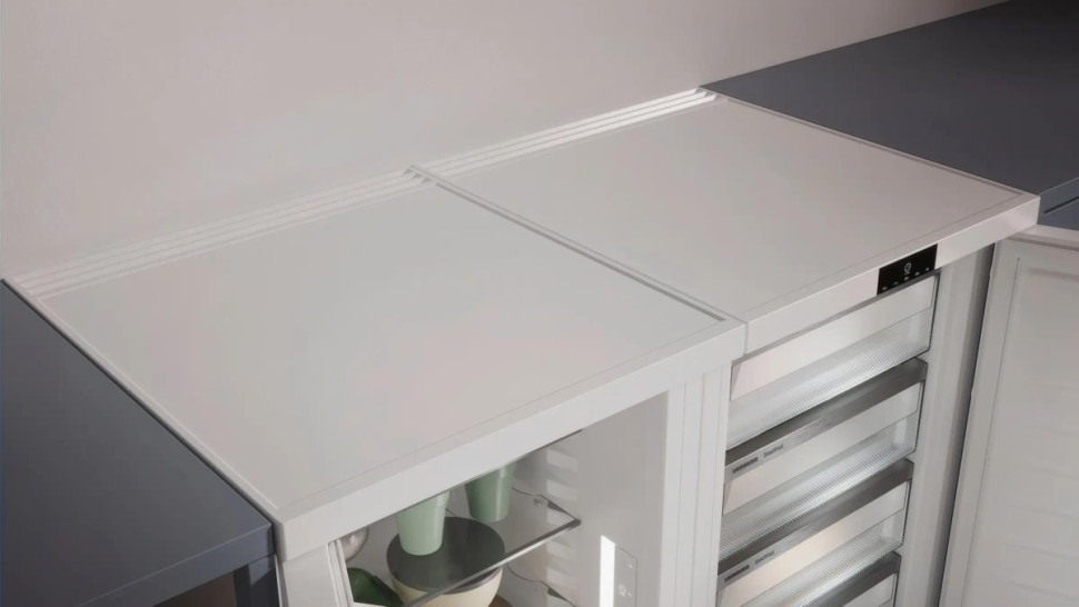 Однокамерный холодильник Liebherr Re 1200 Pure