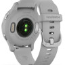 Умные часы Garmin Venu 2S (нержавеющая сталь/серый)
