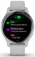 Умные часы Garmin Venu 2S (нержавеющая сталь/серый)