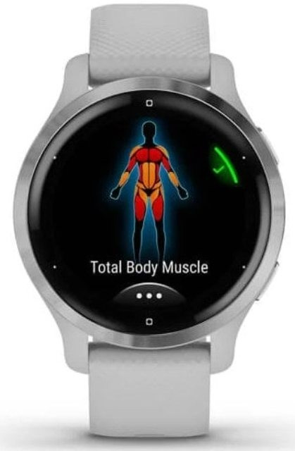 Умные часы Garmin Venu 2S (нержавеющая сталь/серый)