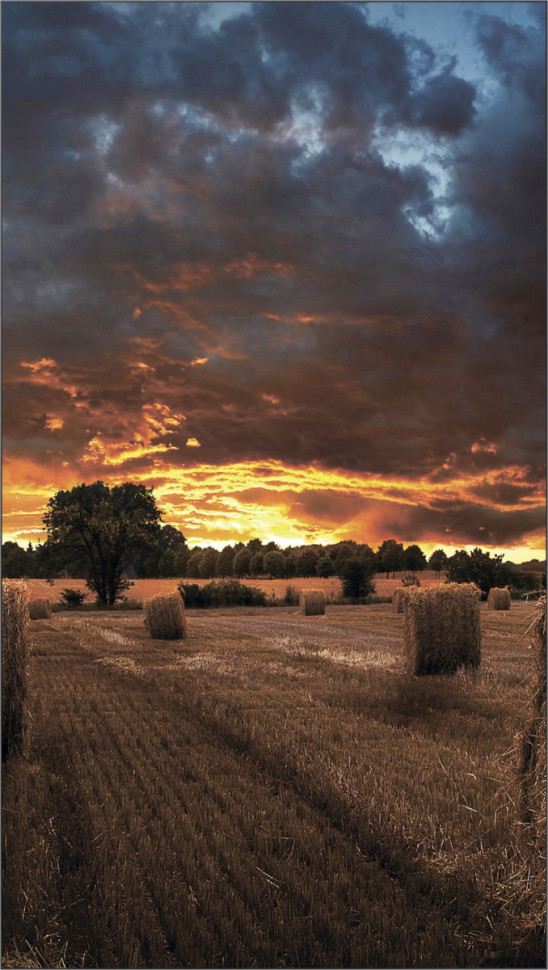 Информационная панель Samsung VM46T-U LH46VMTUBGBXCI