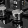 Варочная панель ZorG Technology H6003P051S-BL