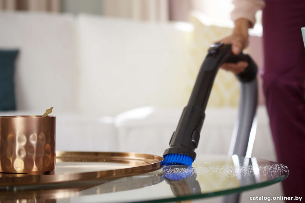 Пылесос Philips FC8389/01