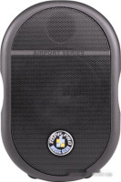 Акустическая система Topp Pro TP TAP40TBK