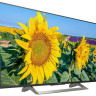 Телевизор Sony KD-49XF8096