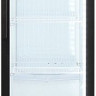 Торговый холодильник Бирюса B390D