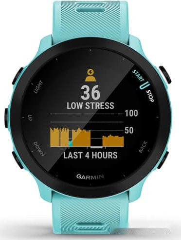 Умные часы Garmin Forerunner 55 (бирюзовый)