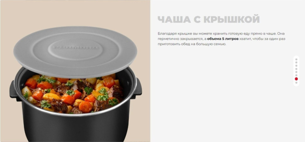 Мультиварка Redmond MC101