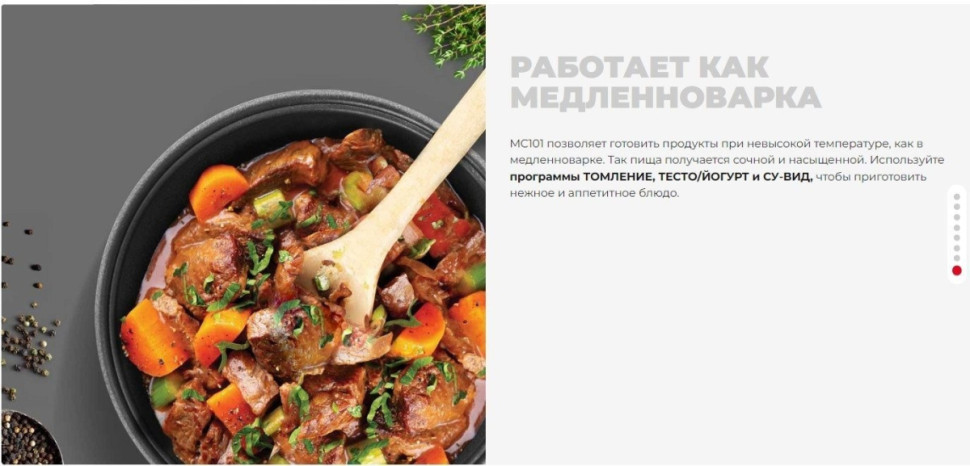 Мультиварка Redmond MC101