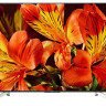 Телевизор Sony KD-49XF8596