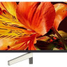 Телевизор Sony KD-49XF8596