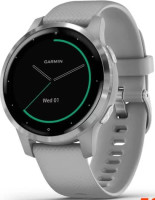 Умные часы Garmin Vivoactive 4s (серый/серебристый)