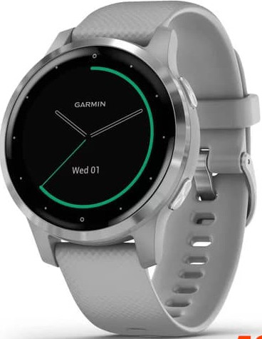 Умные часы Garmin Vivoactive 4s (серый/серебристый)