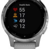 Умные часы Garmin Vivoactive 4s (серый/серебристый)