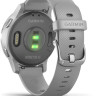 Умные часы Garmin Vivoactive 4s (серый/серебристый)