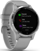 Умные часы Garmin Vivoactive 4s (серый/серебристый)