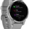 Умные часы Garmin Vivoactive 4s (серый/серебристый)
