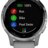 Умные часы Garmin Vivoactive 4s (серый/серебристый)