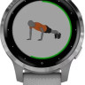 Умные часы Garmin Vivoactive 4s (серый/серебристый)