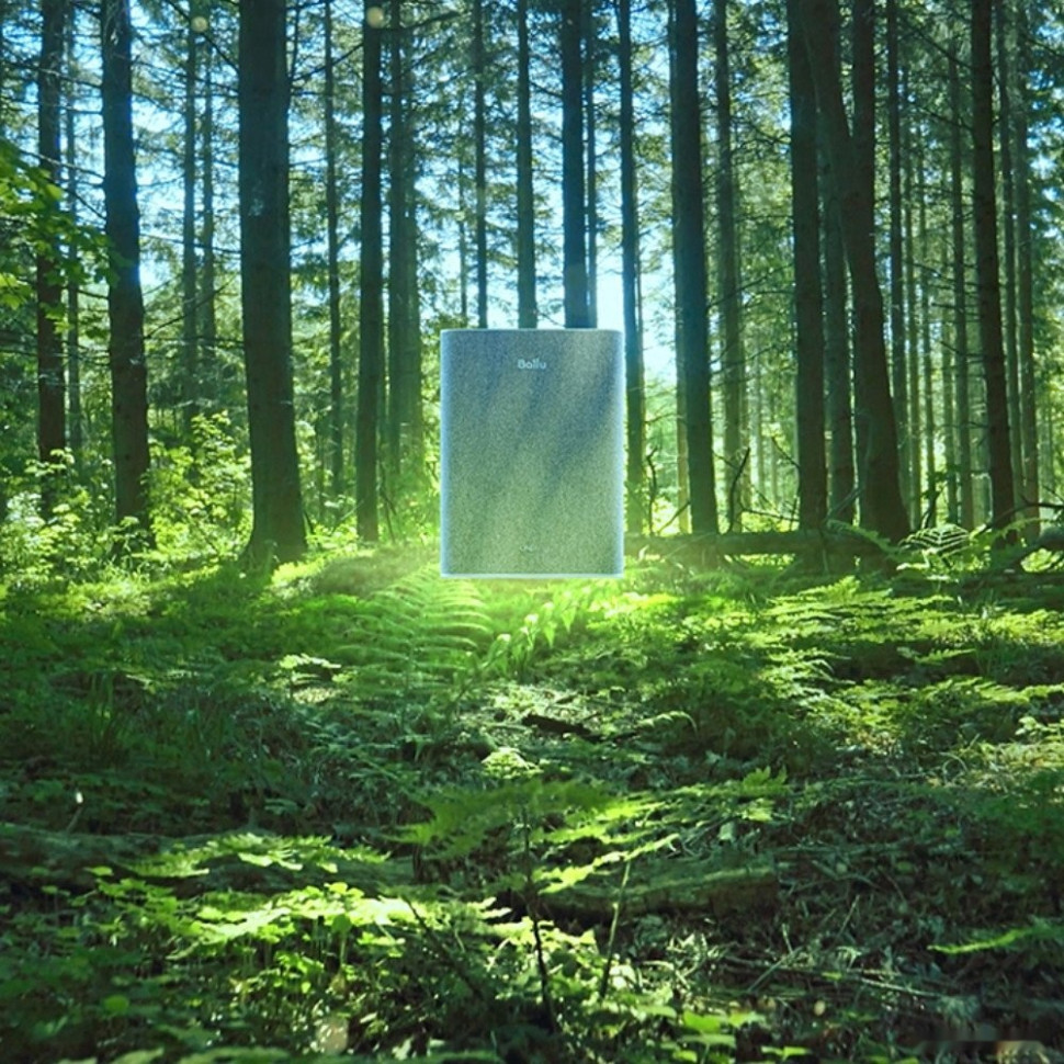 Проветриватель без нагрева Ballu OneAir ASP-100 (серый)