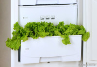 Холодильник Pozis RK-149 (белый)