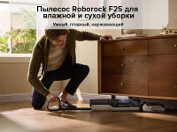 Вертикальный моющий пылесос Roborock F25 WD5M1A (черный)