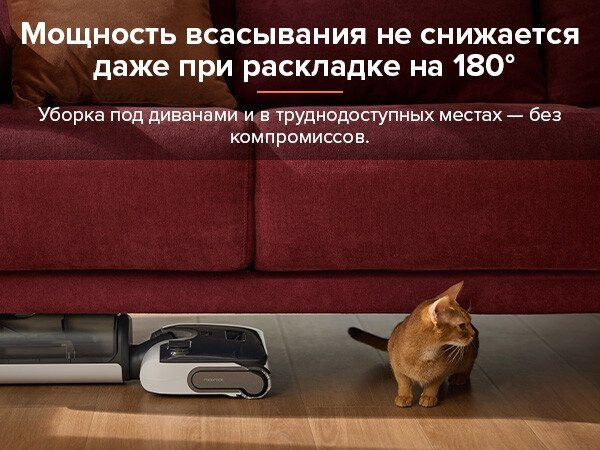 Вертикальный моющий пылесос Roborock F25 WD5M1A (черный)