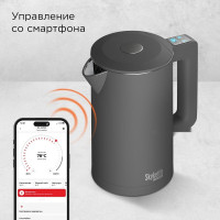 Электрический чайник Redmond SkyKettle KM231S (серый)