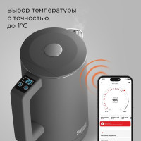 Электрический чайник Redmond SkyKettle KM231S (серый)