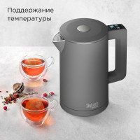 Электрический чайник Redmond SkyKettle KM231S (серый)