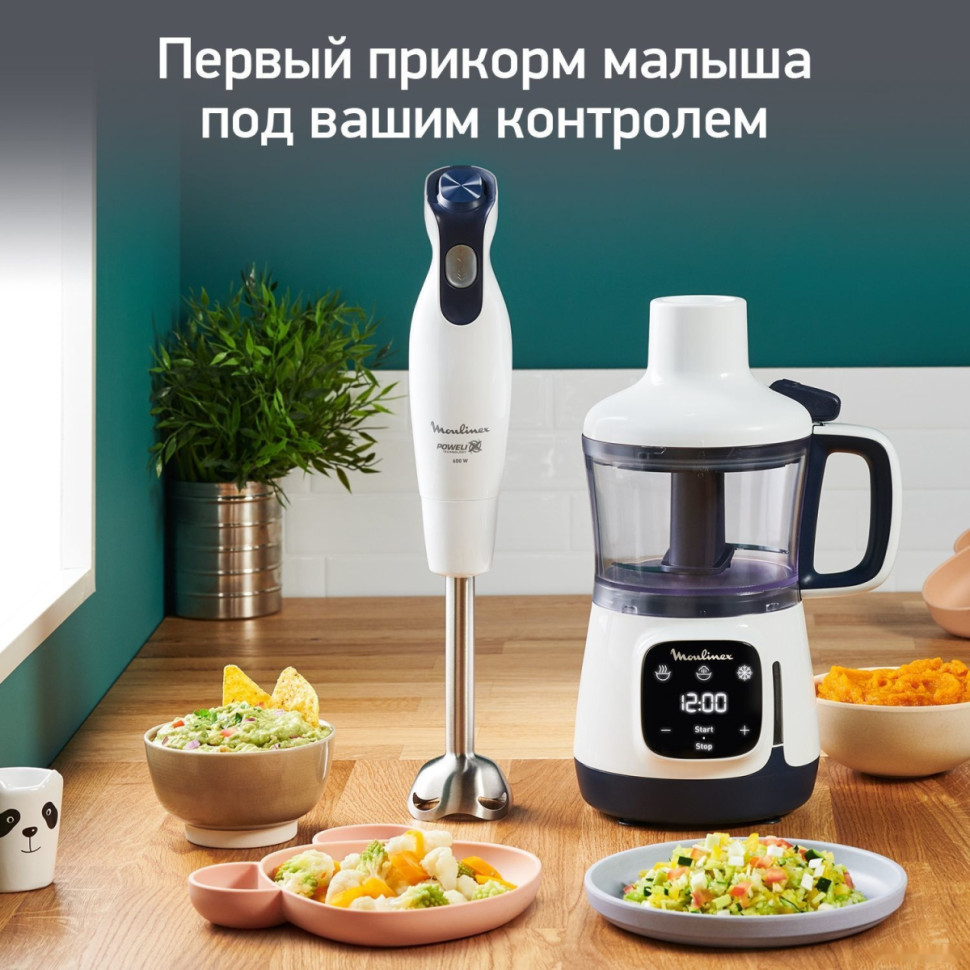 Блендер Moulinex Yummy Gourmet DD55W110