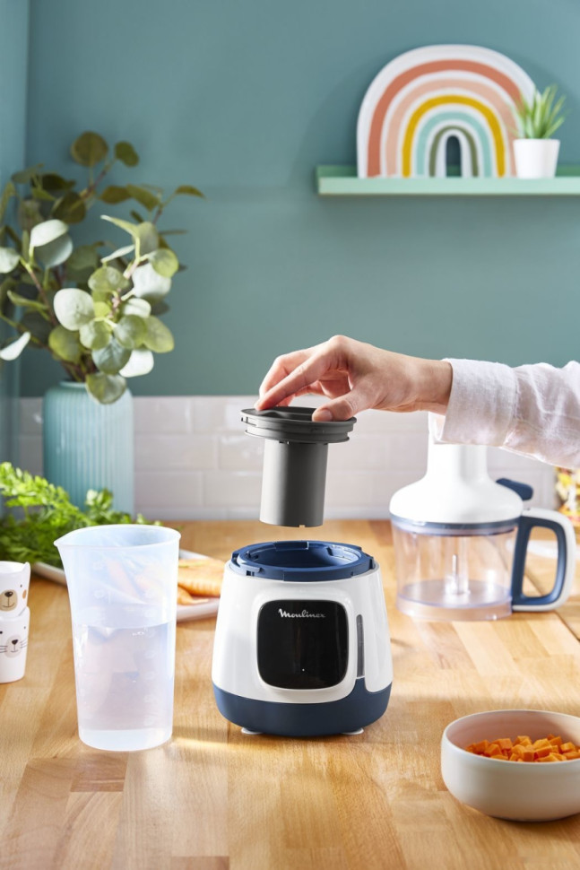 Блендер Moulinex Yummy Gourmet DD55W110