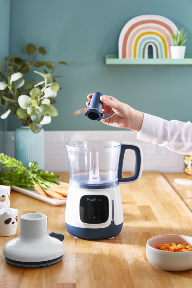 Блендер Moulinex Yummy Gourmet DD55W110